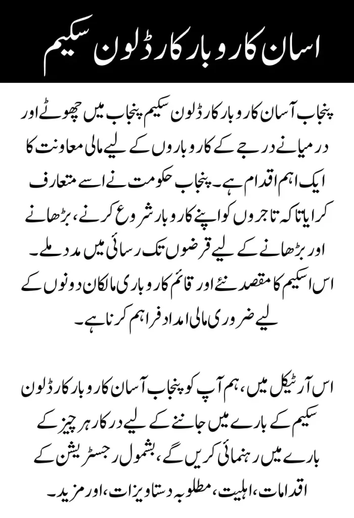 Punjab Asaan Karobar Card Loan Scheme