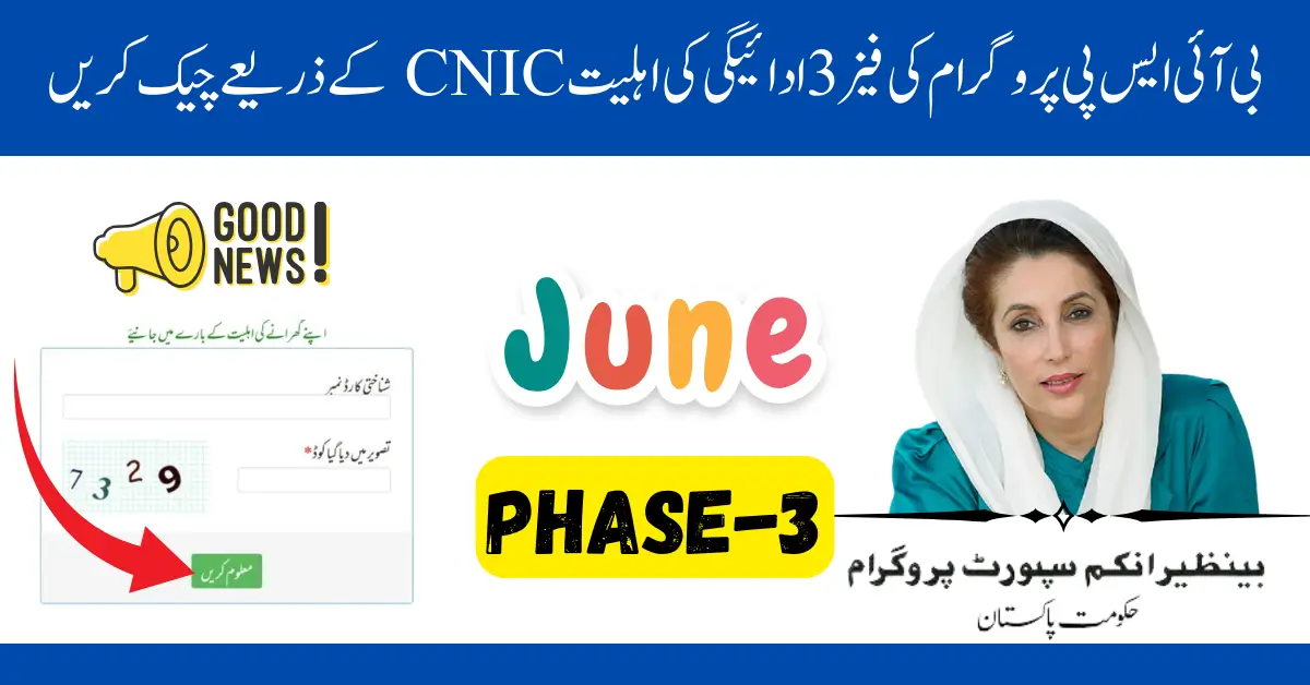 BISP 8171 June Payment Status